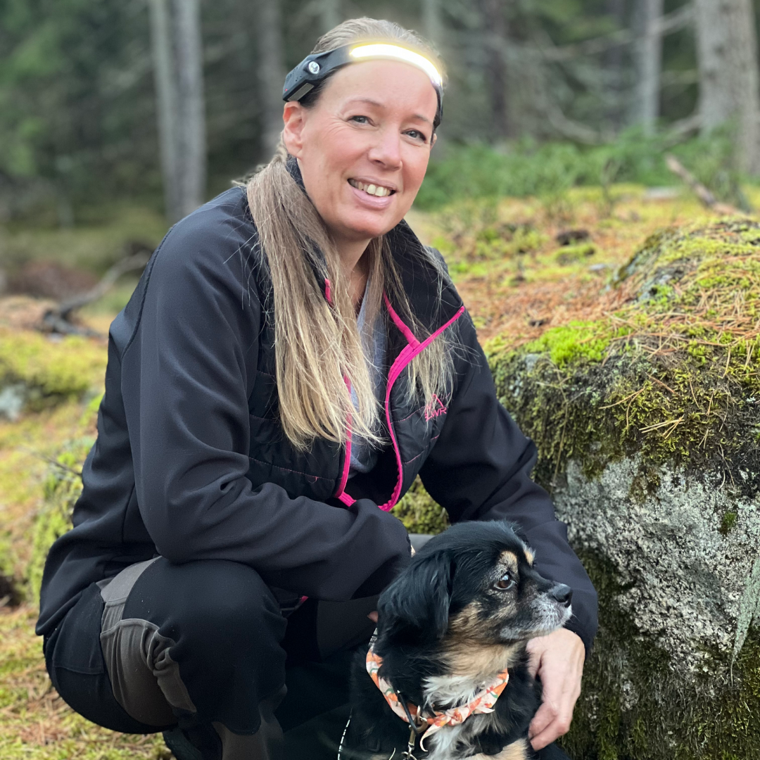 Arclite™ Pannlampa