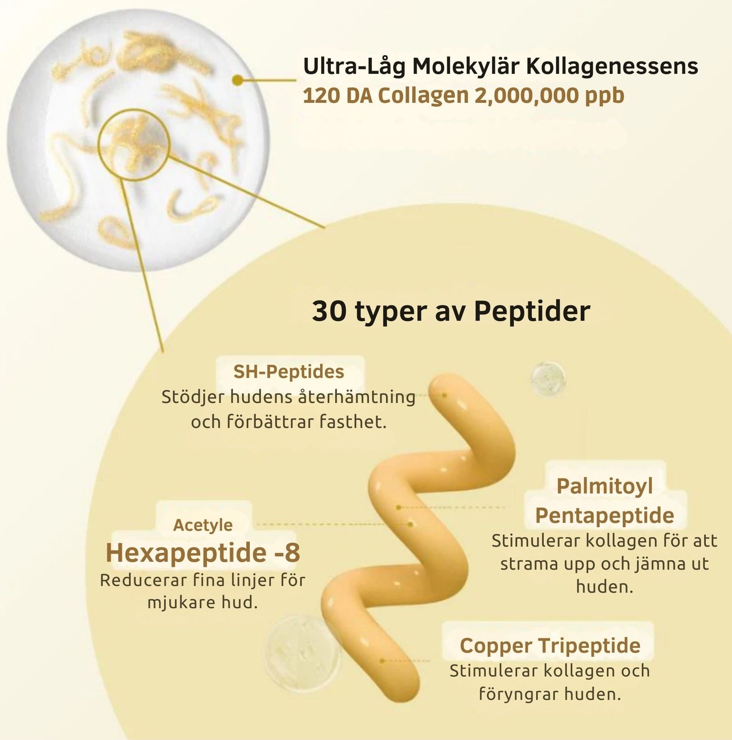 Barubt | Silk Peptide Intensivt Lyftande Ampull