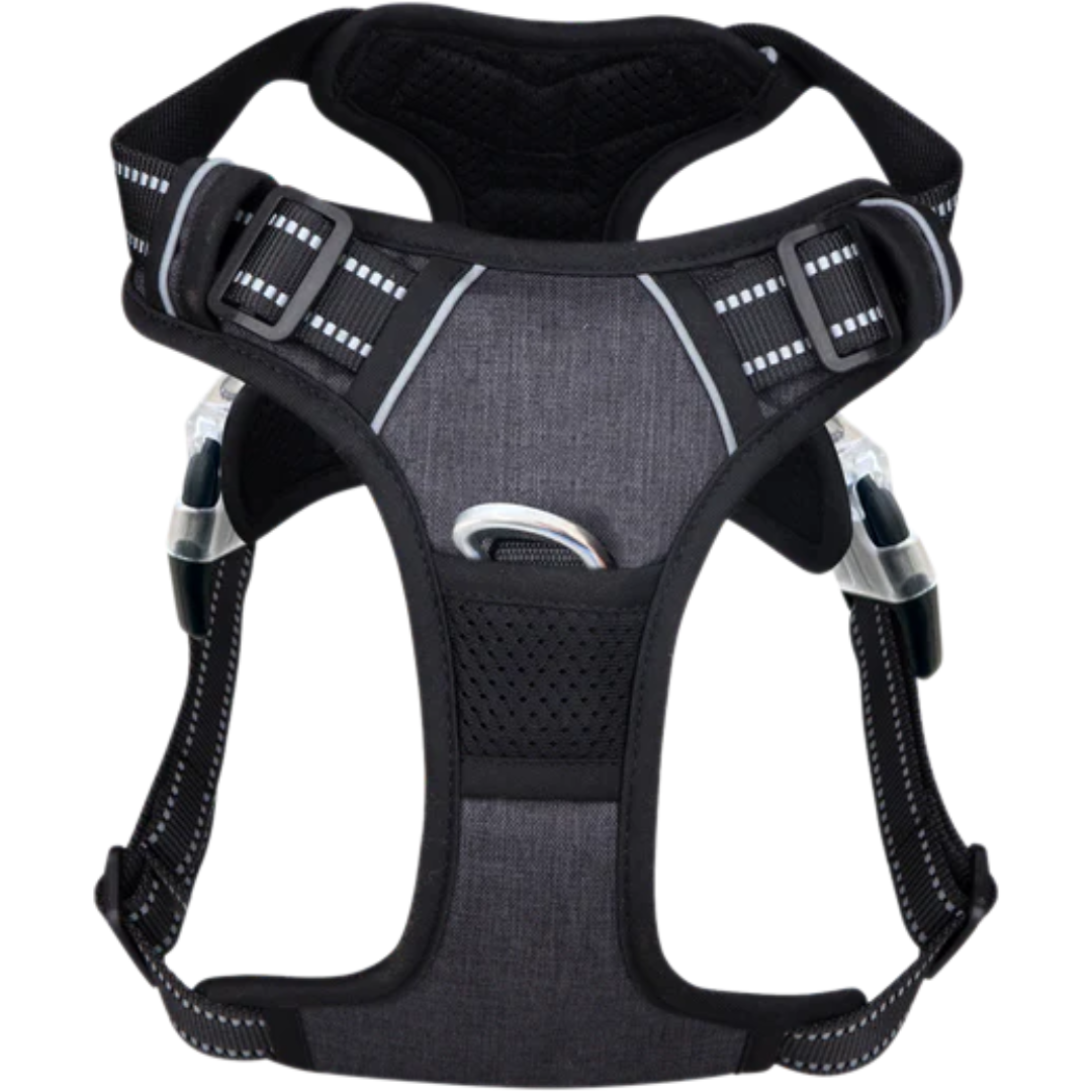 PawSafe | Hundpromenadsele