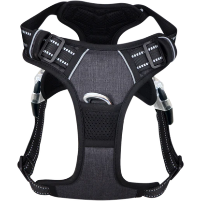 PawSafe | Hundpromenadsele
