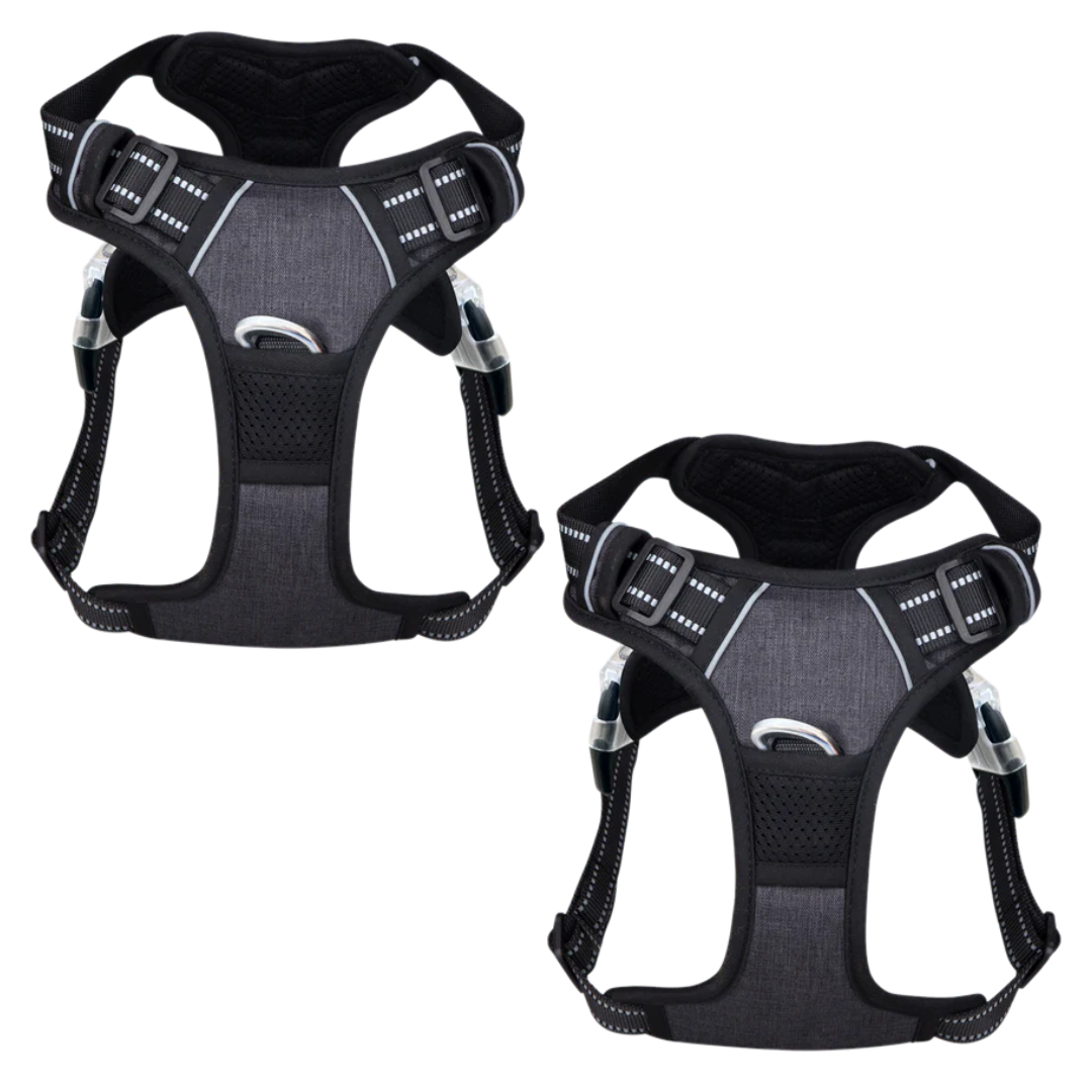 PawSafe | Hundpromenadsele