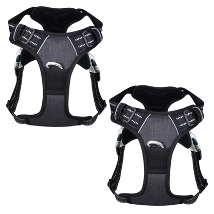 PawSafe | Hundpromenadsele