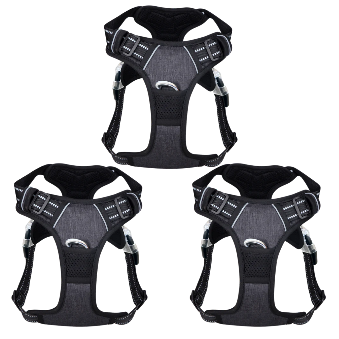 PawSafe | Hundpromenadsele