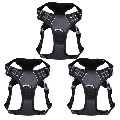 PawSafe | Hundpromenadsele